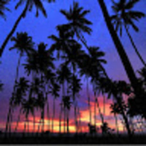 Meet your Posher, Ariel